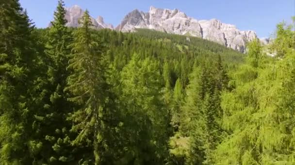 Dolomites ağaçlarda yukarıda uçan — Stok video