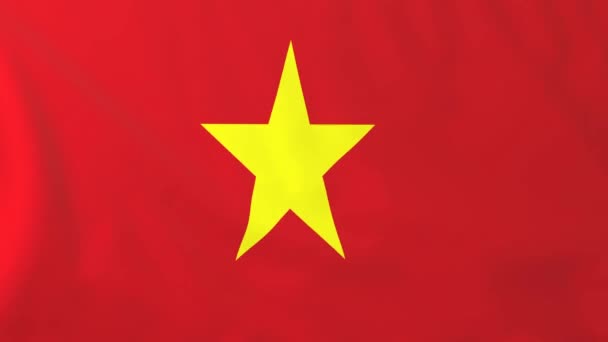 Vietnam bayrağı — Stok video