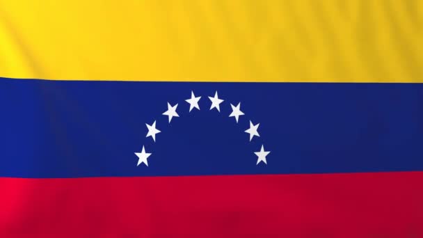 委内瑞拉的旗子 — 图库视频影像
