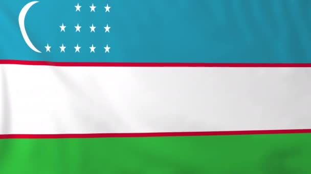 Bandera de Uzbekistán — Vídeo de stock