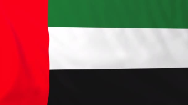 Bandera de Emiratos Árabes Unidos — Vídeo de stock