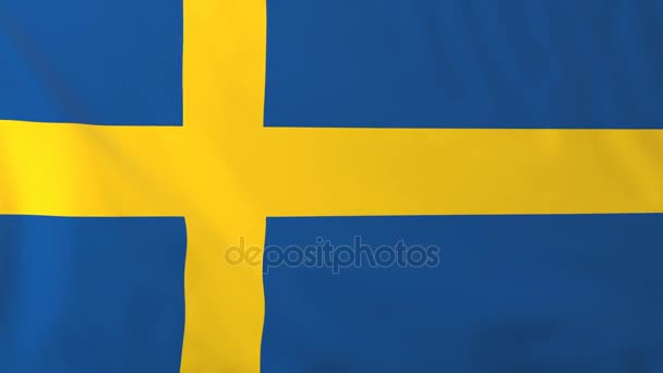 스웨덴의 국기 — 비디오