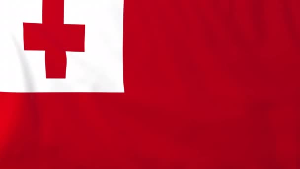 Флаг тонга — стоковое видео