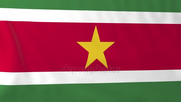 Surinam Cumhuriyeti bayrağı — Stok video