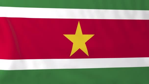 Drapeau du Suriname 