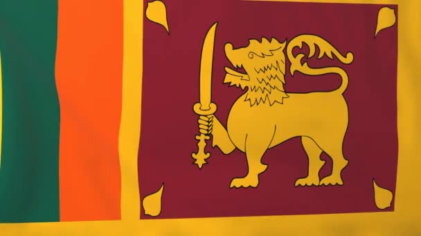 Флаг Шри-Ланки — стоковое видео