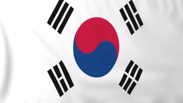 Bandera de Corea del Sur — Vídeo de stock