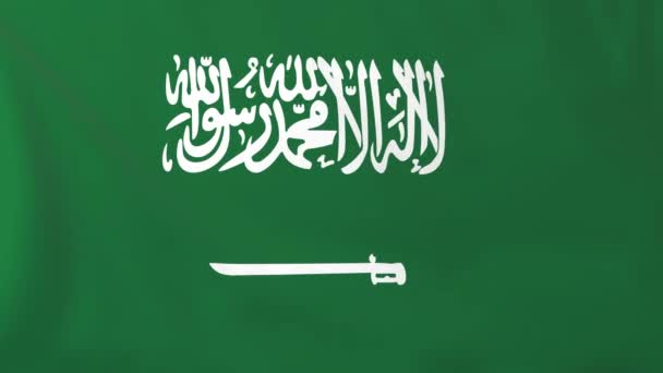 Bandera de arabia saudí — Vídeos de Stock