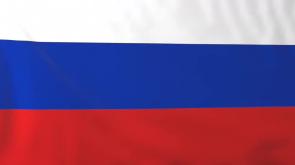 Rysslands flagga — Stockvideo