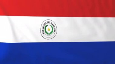 Sijsparaguay Cumhuriyeti bayrağı