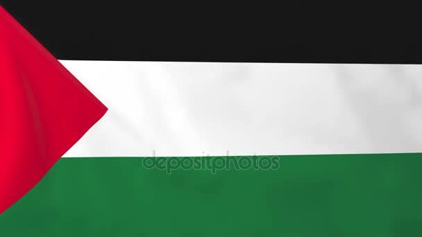 巴勒斯坦的旗帜 — 图库视频影像