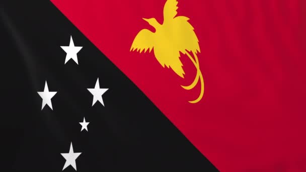 巴布亚新几内亚的国旗 — 图库视频影像