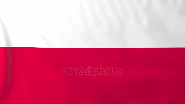 Bandeira de poland — Vídeo de Stock