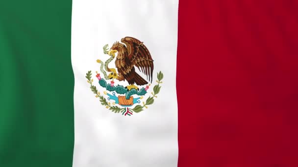 Flaga Meksyku — Wideo stockowe
