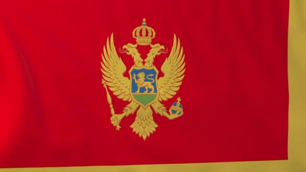 Флаг Черногории — стоковое видео