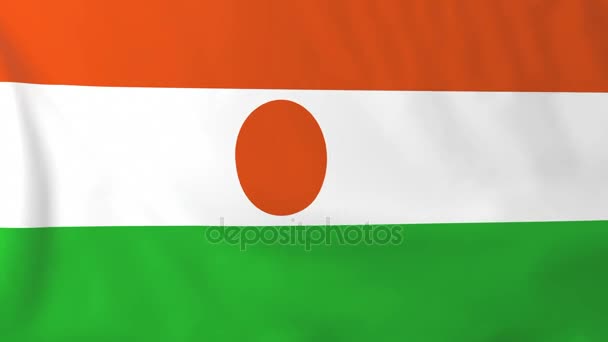 Bandeira de niger — Vídeo de Stock