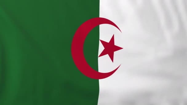 Flagge von Algerien — Stockvideo