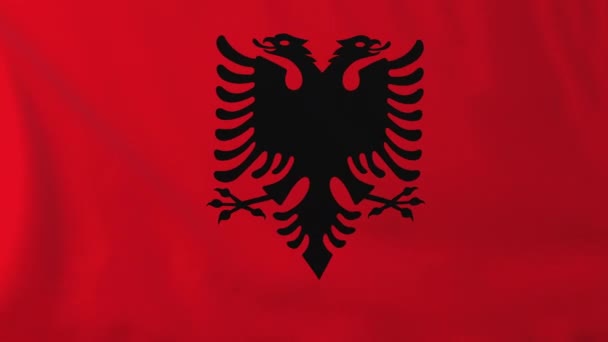 Флаг Албании, развевающийся на ветру, незаметная петля анимации — стоковое видео