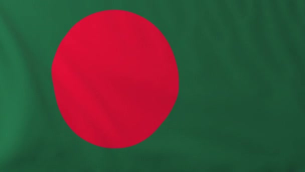 Bandera de Bangladesh — Vídeo de stock
