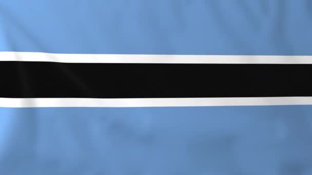 Flagge von Botswana — Stockvideo