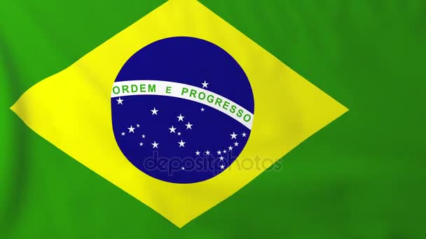 Bandiera del Brasile — Video Stock