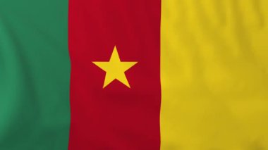 Flag of Cameroon