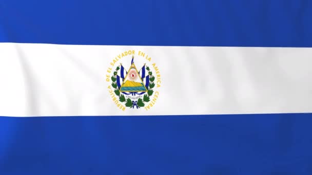 Vlag van El Salvador — Stockvideo