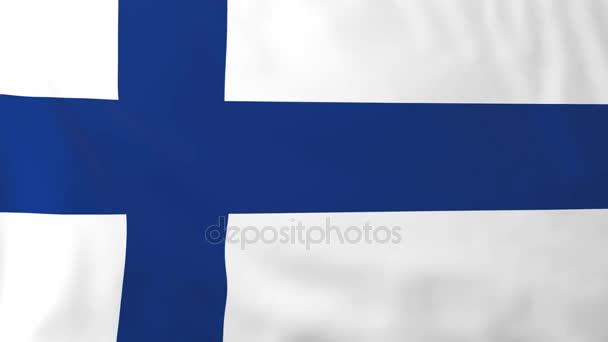 Vlag van finland — Stockvideo