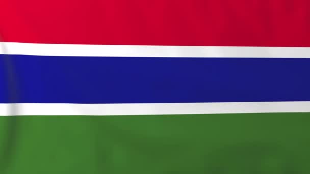 Gambias flagg — Stockvideo
