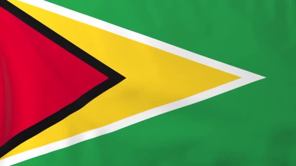 Bandera de Guyana — Vídeos de Stock