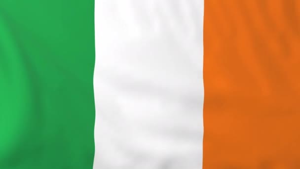 Irlands flagg — Stockvideo