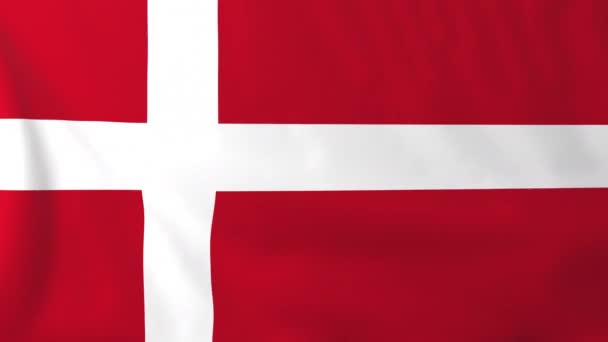 Флаг Дании — стоковое видео