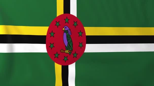 ドミニカ国の国旗 — ストック動画