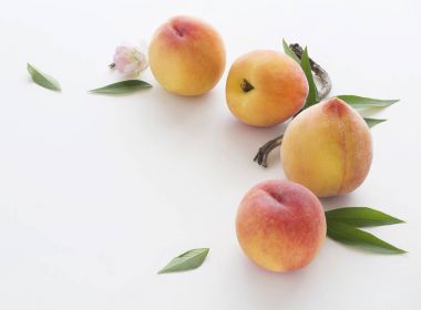 yaprak ve çiçek ile çekilen taze şeftali