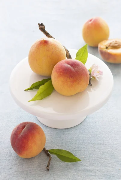 fresh picked peaches with leaves