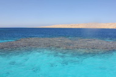 Denizi sularının temizleyin