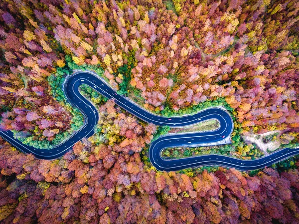 Hava dron görünümünü bir eğri yol ormanın içinden Merhaba sarma