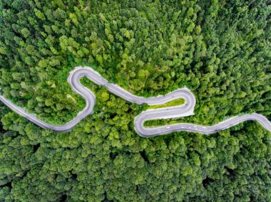 Sarma yol yalak orman