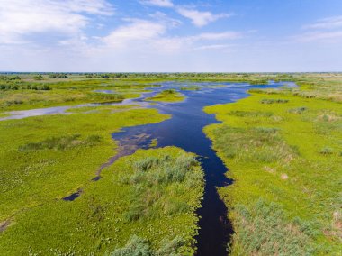 Danube Delta Romanya