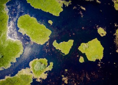 Delta Dunarii Romanya Hava görünümünü yukarıda