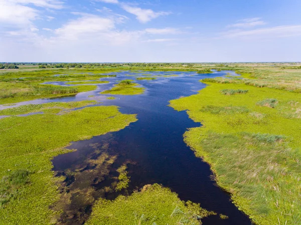 Danube Delta Romanya