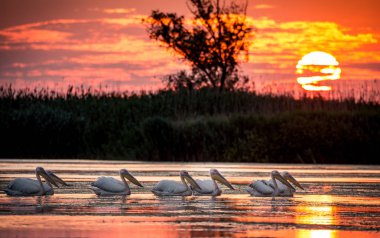Sunrise Danube Delta Romanya