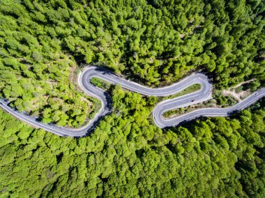 Dolambaçlı yol ormanın içinde. Transilvanya, Romanya, Avrupa. Kamyon
