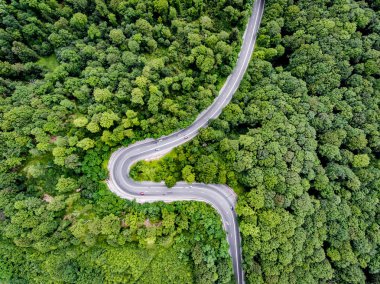 Eğri yol yalak yukarıdan izlendi orman