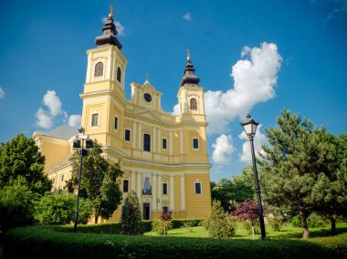 Romano-Katolik Katedrali Oradea Romanya