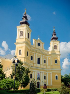 Romano-Catholic Cathedral in Oradea Romania clipart
