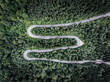 Eğri yol yalak orman. Havadan görünümü.