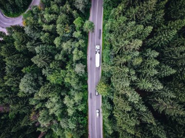 Bir orman yolu yalak üzerinde geçen kamyon