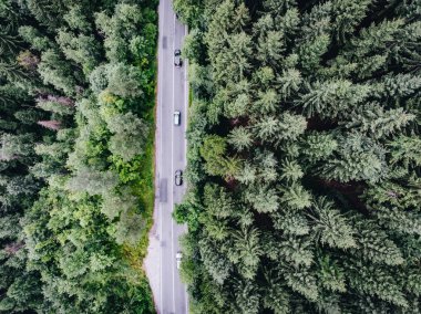 Orman havadan görünümü de yol arabalar