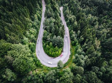 Yukarıda da görüleceği ormandaki dolambaçlı yol